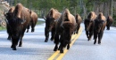 Blocking the Road