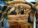 Autumn Basket