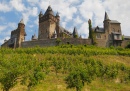 Cochem Castle