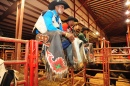 Bull Riders