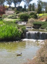 Japanese Gardens