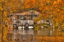 Floating Camp on Ouachita River