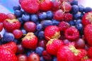 Berries