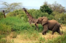 Lake Manyara, Tanzania