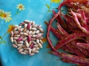 Borlotti Beans