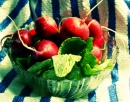 Old-fashioned Radishes