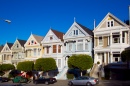 Painted Ladies