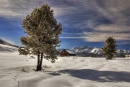 Sawtooth National Forest