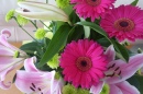 Gerbera, Oriental Lily and Chrysanthemum