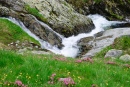 White Rapids, Brown Rocks