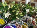 Flower Shop in Katonah, New York