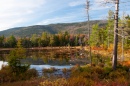 White Mountains National Forest