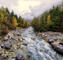 Mountain Stream in Autumn