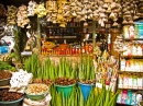 Maceio Municipal Market, Brazil