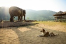 Chiang Mai, Thailand