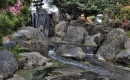 Waterfall at the Japanese Garden