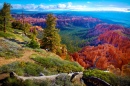 Bryce Canyon National Park, Utah