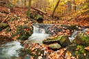 Michaux State Forest, Pennsylvania