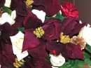 Deep Red Poinsettias