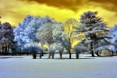 Infrared Golf Course Landscape