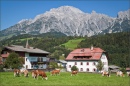 Near Salzberg, Austria