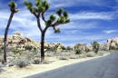 Joshua Tree National Park