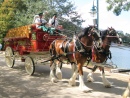 Budweiser Carriage