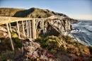 Wild Coast along the Pacific