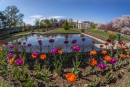 Garden Pool