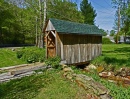 Covered Bridge in a Yard