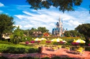 Walt Disney World Resort