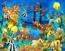 Coral Reef