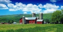 Pine Creek Valley Farm