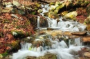 Stream along the Katellen Trail