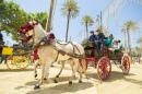 Fair Ride, Jerez de La Frontera, Spain