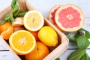 Fresh Citrus Fruits