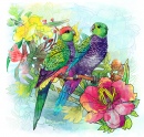 Parrots and Flowers