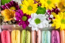 Flowers and Macaroon