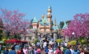 Springtime in Disneyland