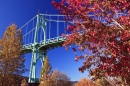 Cathedral Park, Portland, Oregon