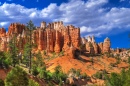 Mossy Creek Trail in Bryce Canyon