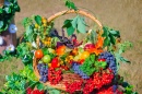 Fruit Basket