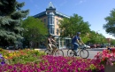 Bike Trail