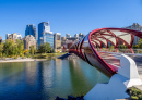 The Peace Bridge in Calgary, Canada