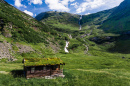 Norwegian Grass Roof House