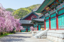 Gyeongbokgung Palace, Korea