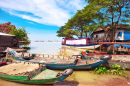 Boats near the Fishing Village