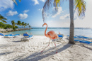 Three Flamingos on the Beach