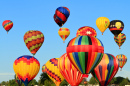 Hot Air Balloons