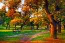 Autumn Colors in the Park